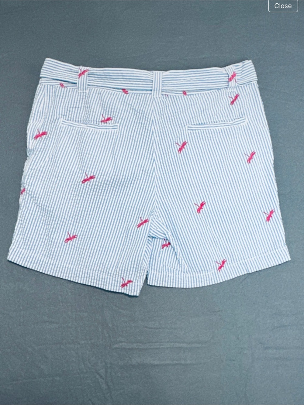 Blue and White Striped Seersucker Shorts with Pink Dragonfly Embroidery - Picture 4 of 5